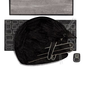 May include: A black cat is curled up asleep on a computer keyboard. The cat's paws are visible and the cat's tail is curled around its body. The keyboard is black and has white keys. There is a mouse to the right of the keyboard.