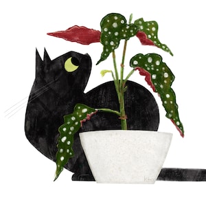 Begonia Maculat Plant Black Cat Print - Illustration - Cute Cat Art