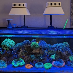 Reef Shade for PrimeHD