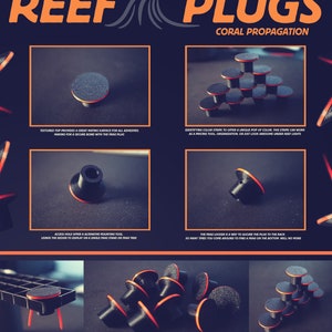 FRAG PLUGS