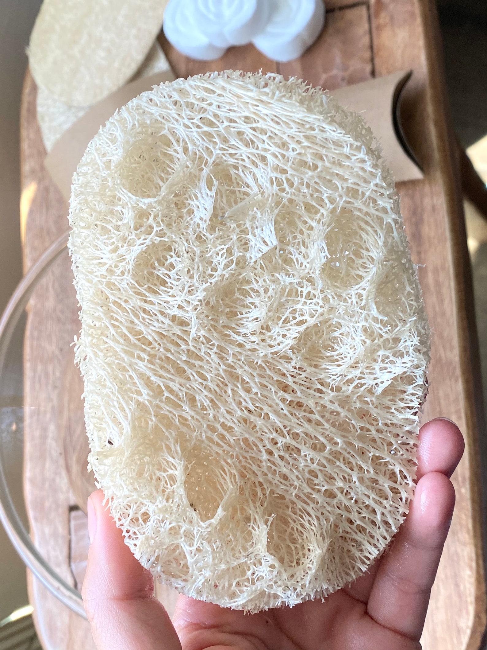 100 natural loofah sponge Etsy
