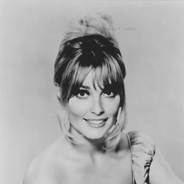 Sharon Tate Nude - Etsy