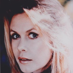 Elizabeth Montgomery Nude Photos - Etsy