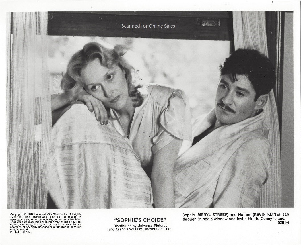 Sophie's Choice Meryl Streep Kevin Kline 8x10 Foto | Etsy México
