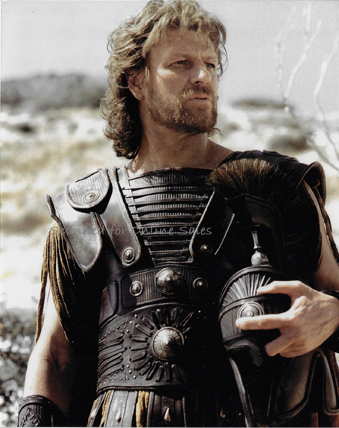 Troy Odysseus Sean Bean 8x10 Photo Etsy