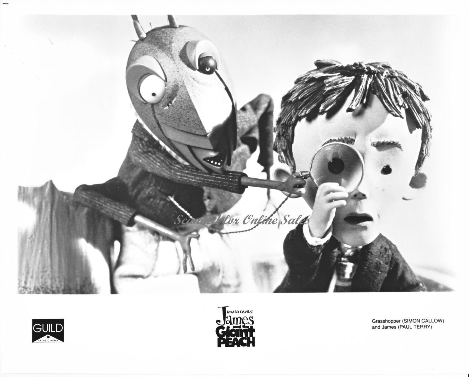 James And The Giant Peach Grasshopper james-and-the-giant-peach-grasshopper