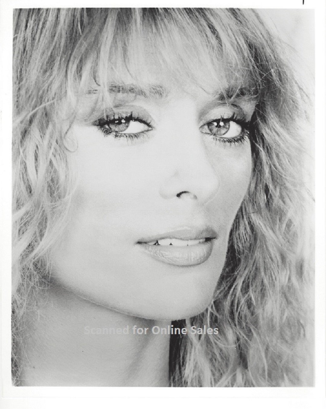 Sybil Danning Sensual 8x10 Photo - Etsy