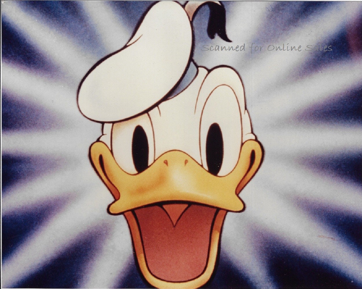 Daffy Duck Face Shot