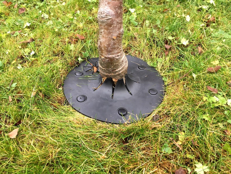 Proops Tree Shrub Landscape Ring Mat Guard Protector Barrier Etsy