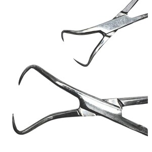 Puede incluir: Primer plano de dos instrumentos quir&uacute;rgicos con puntas curvas en forma de gancho. Las herramientas met&aacute;licas son de color plateado y parecen estar hechas de acero inoxidable. Instrumentos para procedimientos m&eacute;dicos o dentales.