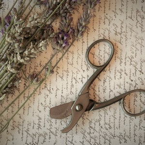 May include: A vintage pair of silver-toned shears with a single blade and a rounded handle. The shears are lying on a piece of paper with handwritten text.