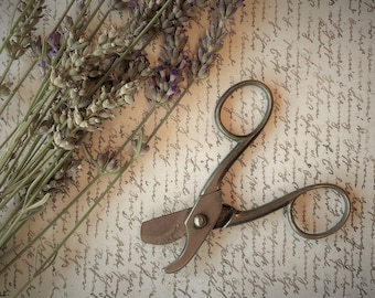 Proops Scissors, Small Vintage Curved Pruning Scissors / Post Office Type String Scissors (C6179). Free UK Postage