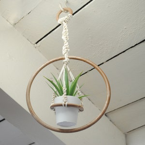 May include: A white ceramic pot with a green succulent plant hanging from a macrame plant hanger with a wooden ring.