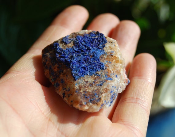 Druzy Azurite Crystals on Quartz , 43 grams