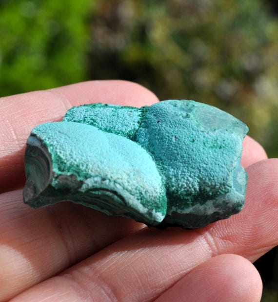 BOTRYOIDAL MALACHOLLA Malachite Chrysocolla  - 28g - 0.98 Oz