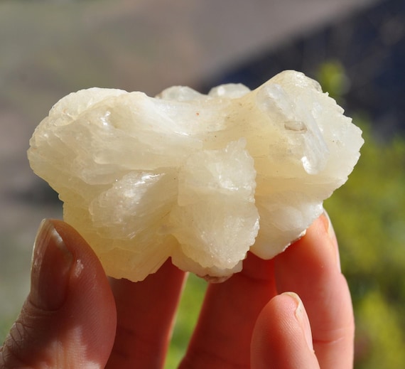 STILLBITE Bow Tie Cluster - 79g