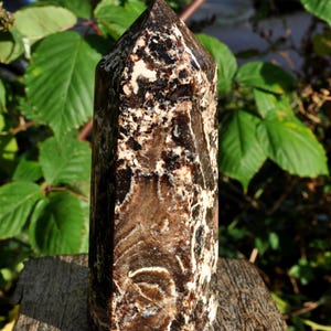 May include: A tall, polished crystal point with a dark brown and white mottled pattern. The crystal has a flat base and a pointed top. The stone is displayed outdoors, with green foliage in the background. The crystal is approximately 6 inches tall.