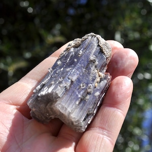 Op de afbeelding: Een hand die een ruwe kyanietkristal vasthoudt. De kristal heeft een gelaagde structuur met een diepblauwe tot paarse kleur en een zilverachtige glans. Kleine, lichtgekleurde minerale afzettingen zijn zichtbaar.