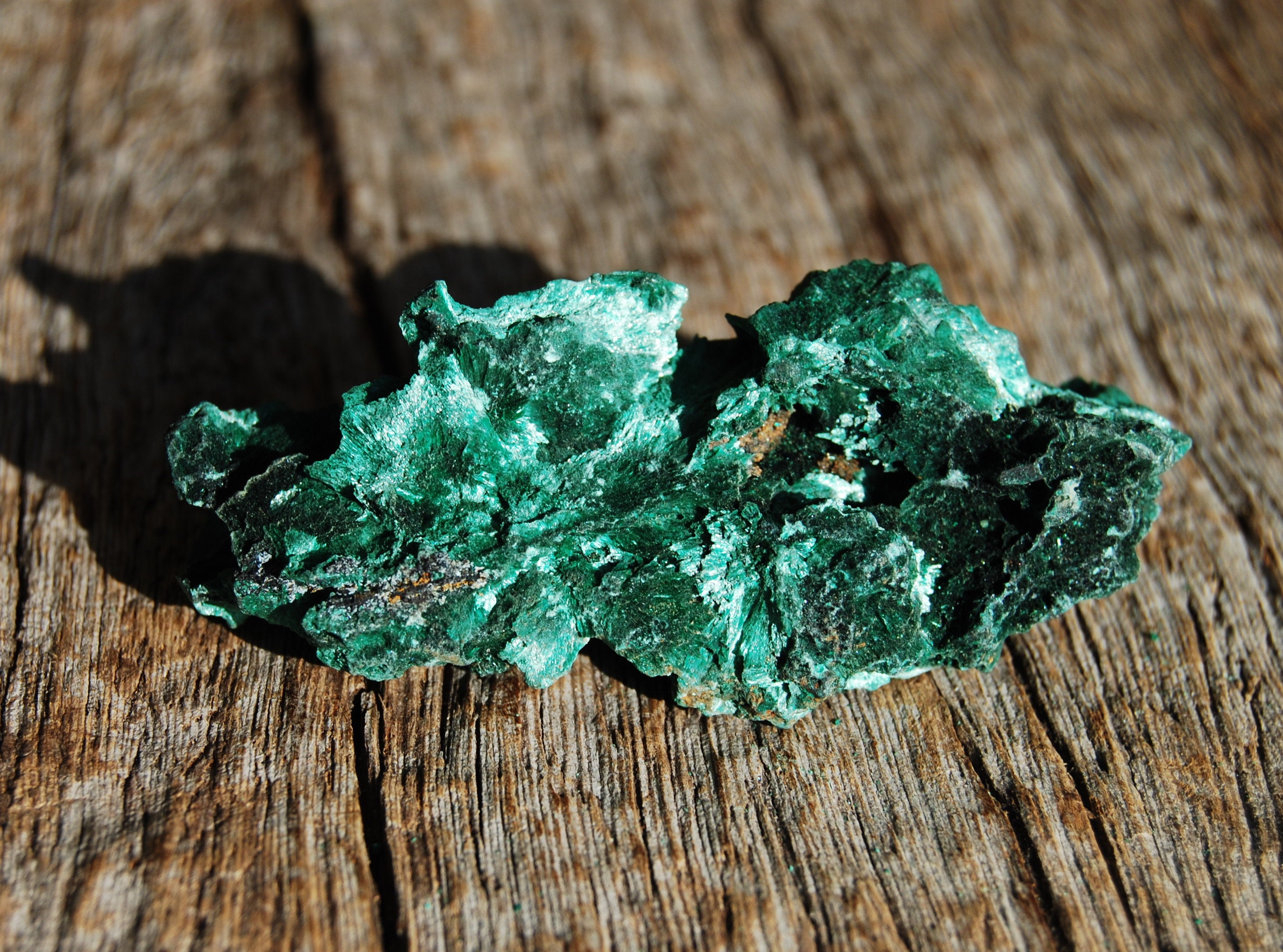 Fibrous Velvet Malachite Cluster from Congo Mineral