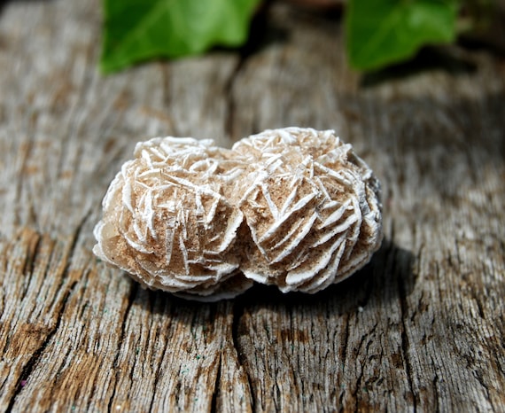 Desert Rose Selenite from Mexico - Grounding and Balance