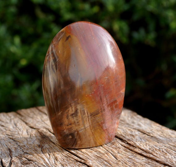 368g - 13Oz PETRIFIED WOOD Freeform Sculpture Freestanding Polished Crystallized Wood