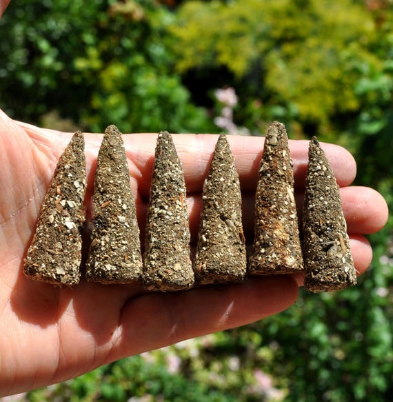WHITE SAGE Cedar Frankincense Cinnamon Incense Handrolled Smudge Cones for Cleansing & Purification, All Natural -  Lot of SIX