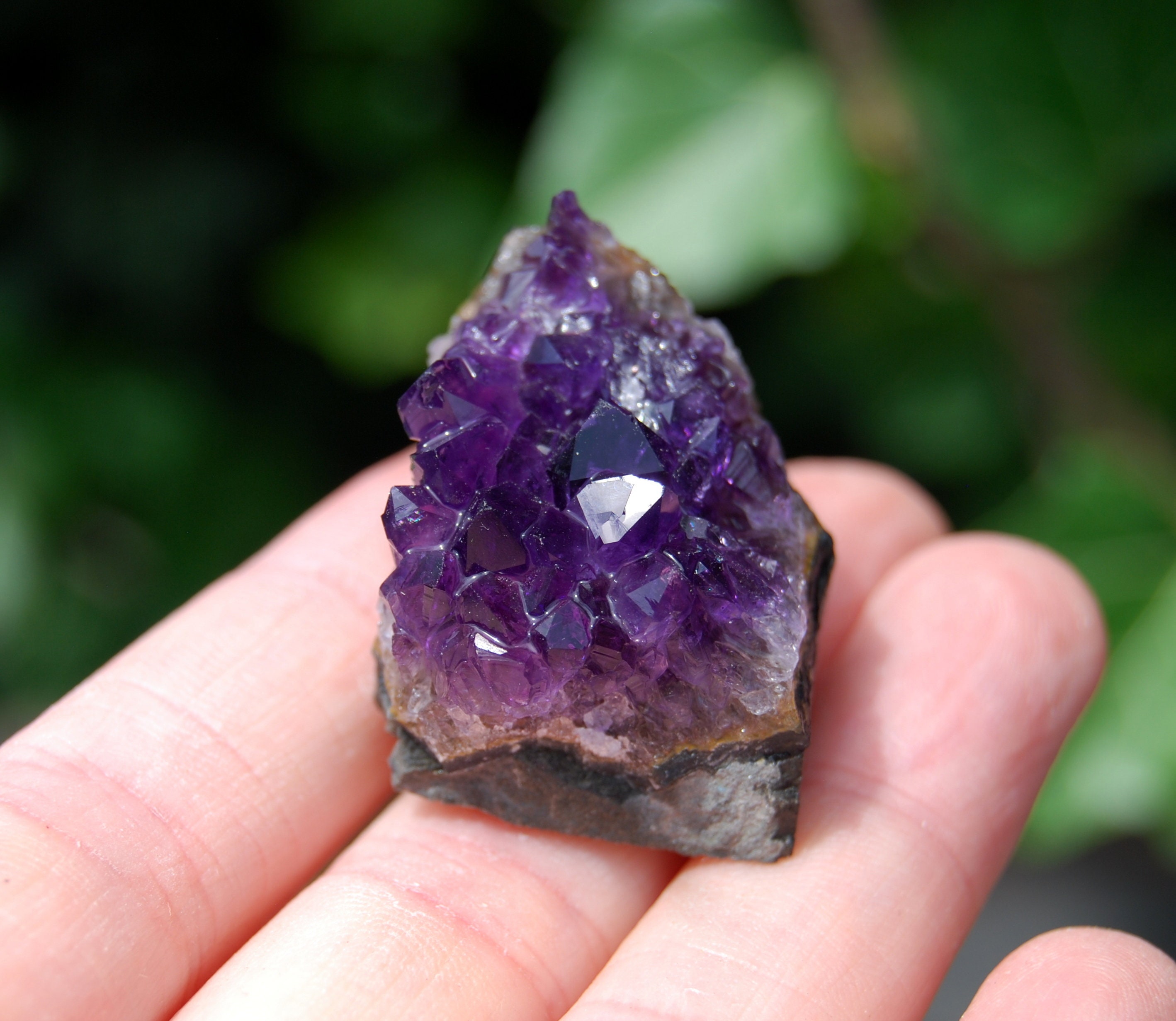 amethyst cluster amethyst cluster
