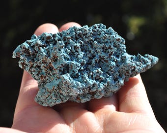 Amas de shattuckite brute, spécimen minéral rare - 71 g - 2,5 oz