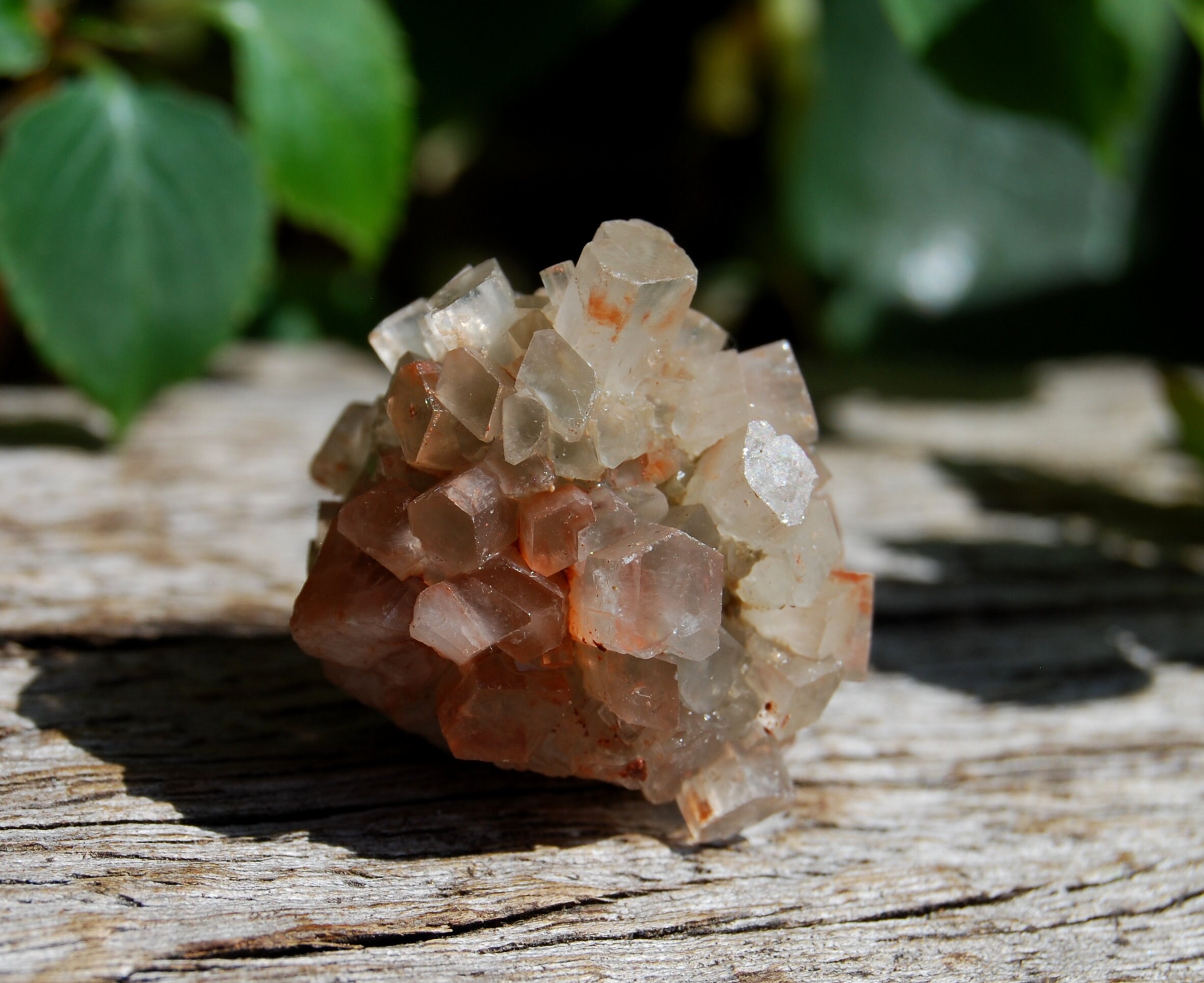 White Aragonite Crystal Cluster, Bicolor Sputnik Crystal, 22 grams