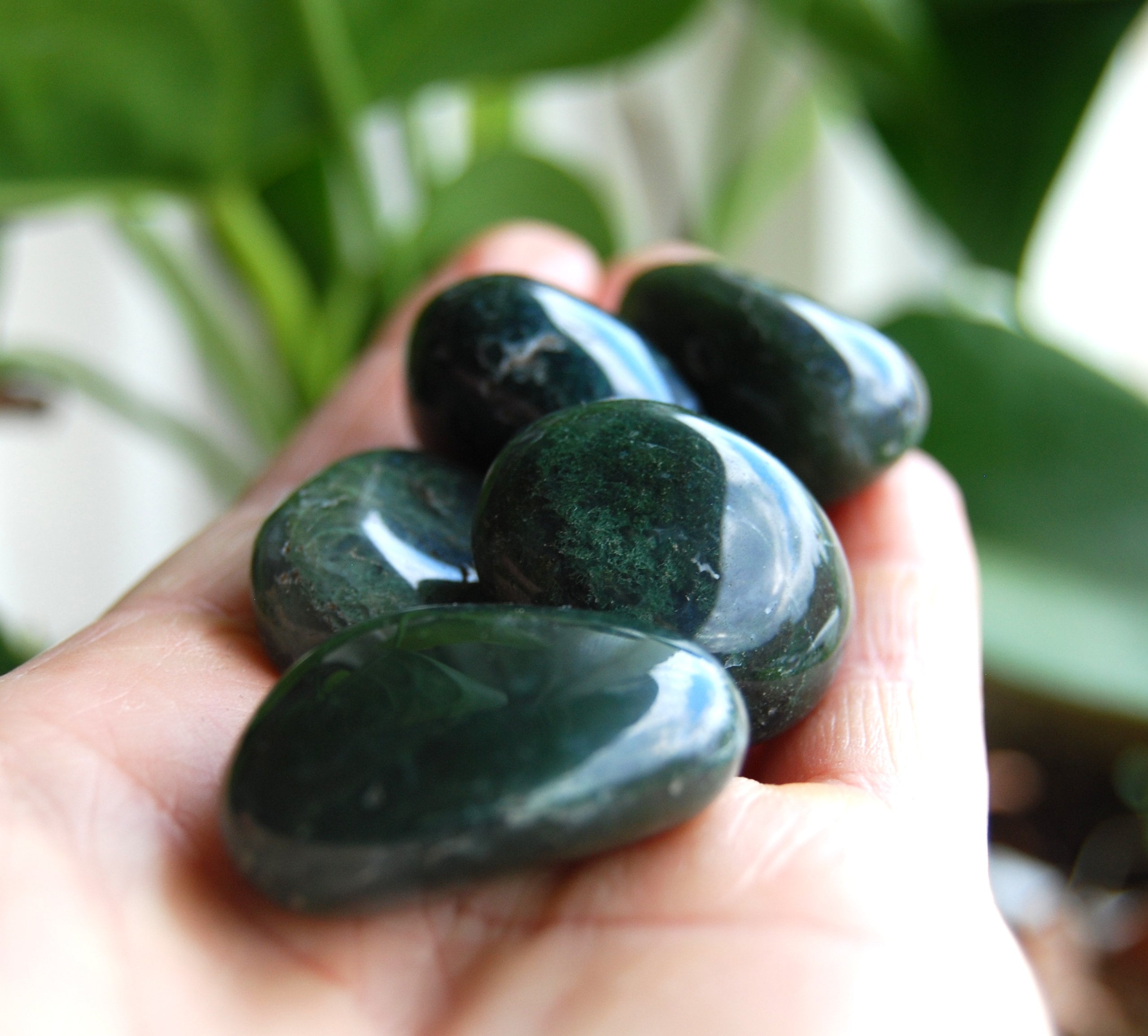 Moss Agate Tumbled Polished
