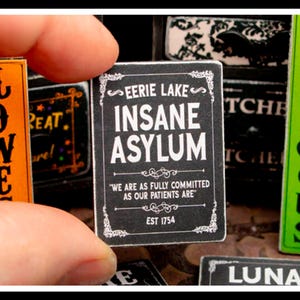 Miniature Insane Asylum Wooden Sign - Handmade for adult collectors only.