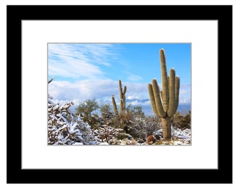 Saguaro Cactus in the Snow after a rare Snowstorm in the Sonoran Desert Photograph - Tucson, Arizona