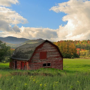 Rustic Red Barn with Fall Foliage Photograph - Autumn Leaves and Fall Colors with an Old Red Barn