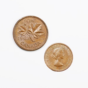 カナダ 1991 1セント銅貨 1カナダペニー - Etsy 日本