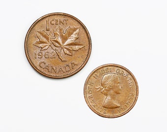 1985年 カナダ ナショナルパーク 1ドル 硬貨 m89232811387_1.jpg?1744616184