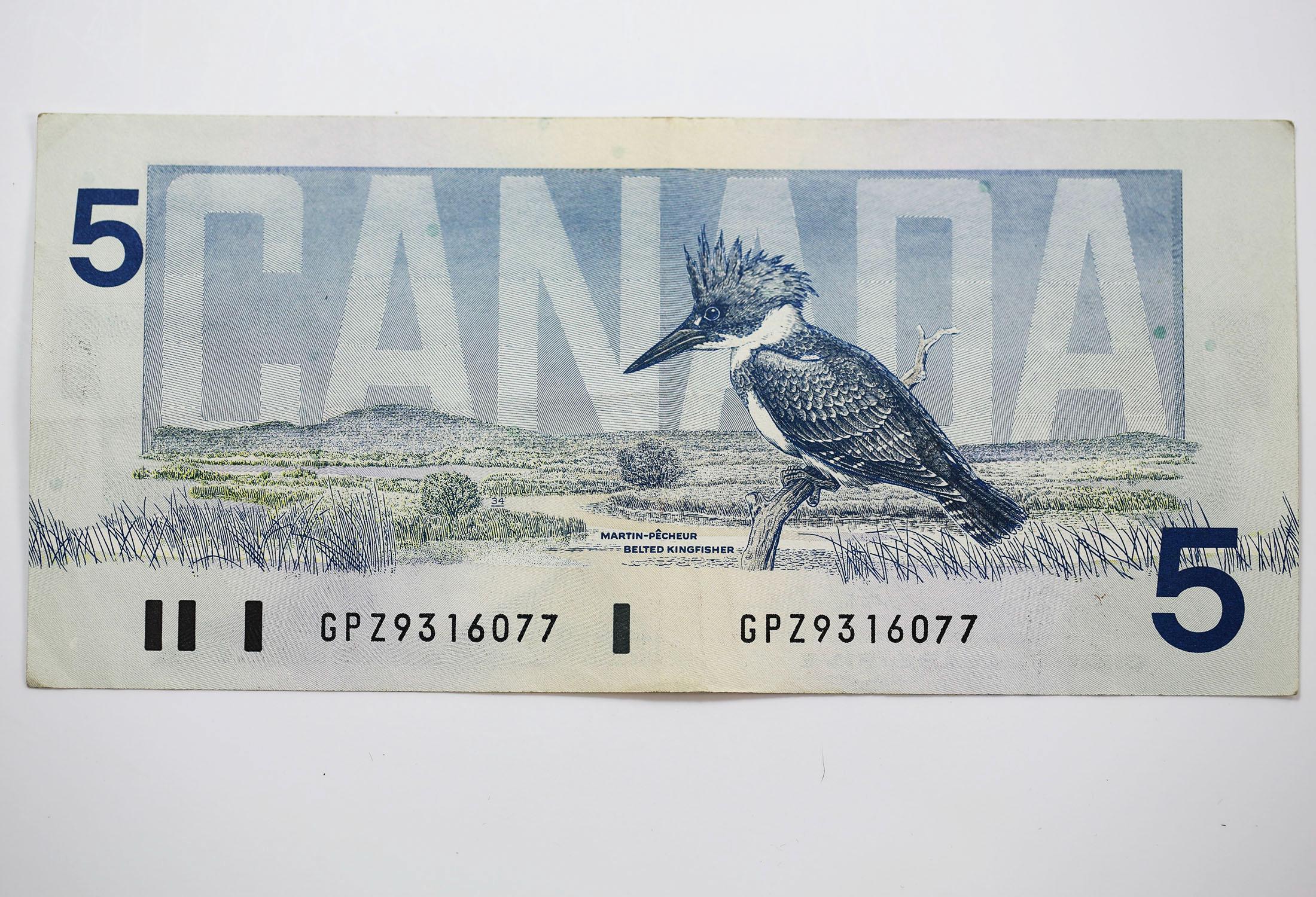 1986年カナダ5ドル紙幣：カナダの鳥の紙幣 - Etsy 日本