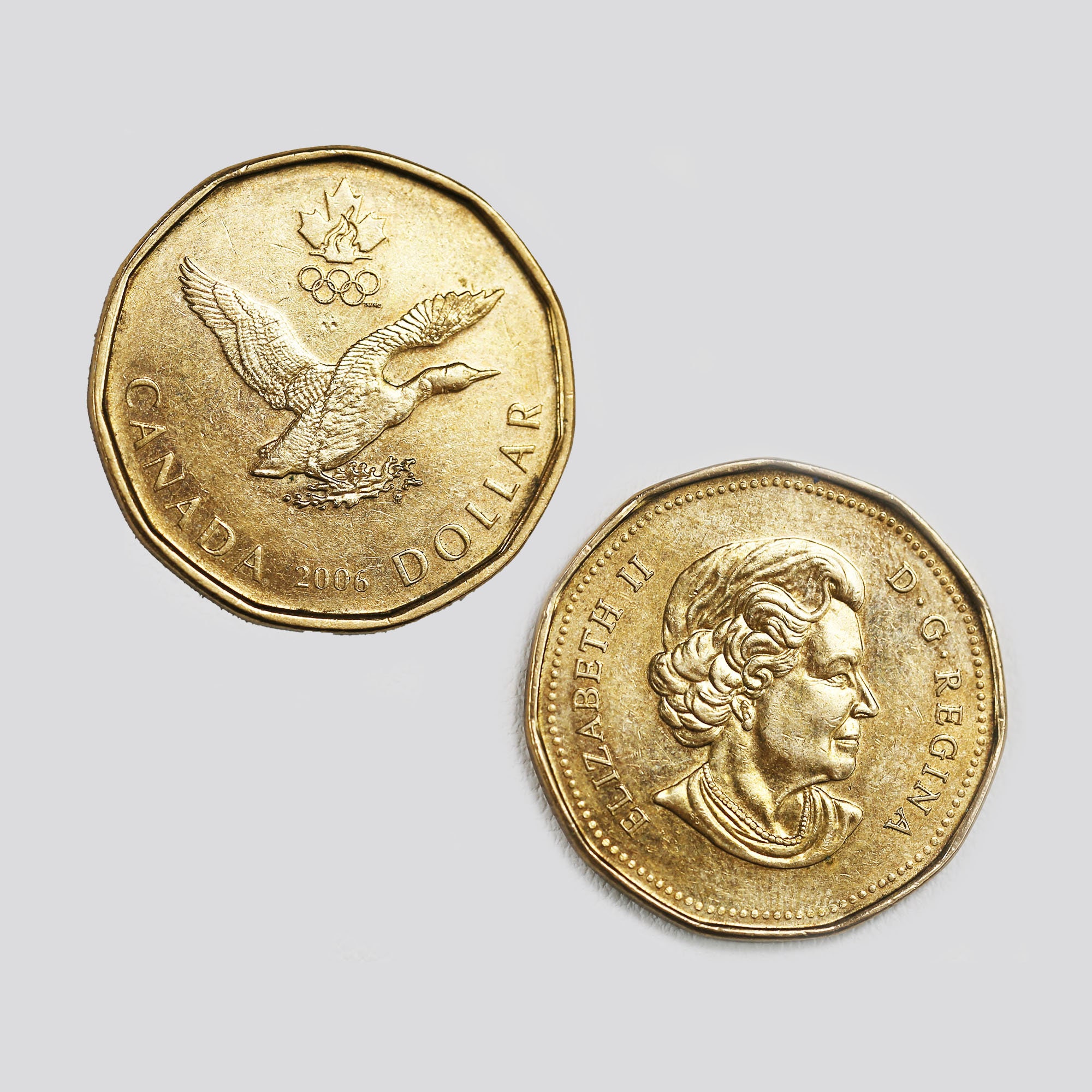 Canada 1 dollar coin - Etsy 日本