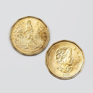 完全未使用品！　2005 カナダ 1CENT　エリザベス2世 2005 カナダ 1 ドル 記念コイン エリザベス 2 世 - テリー フォックス