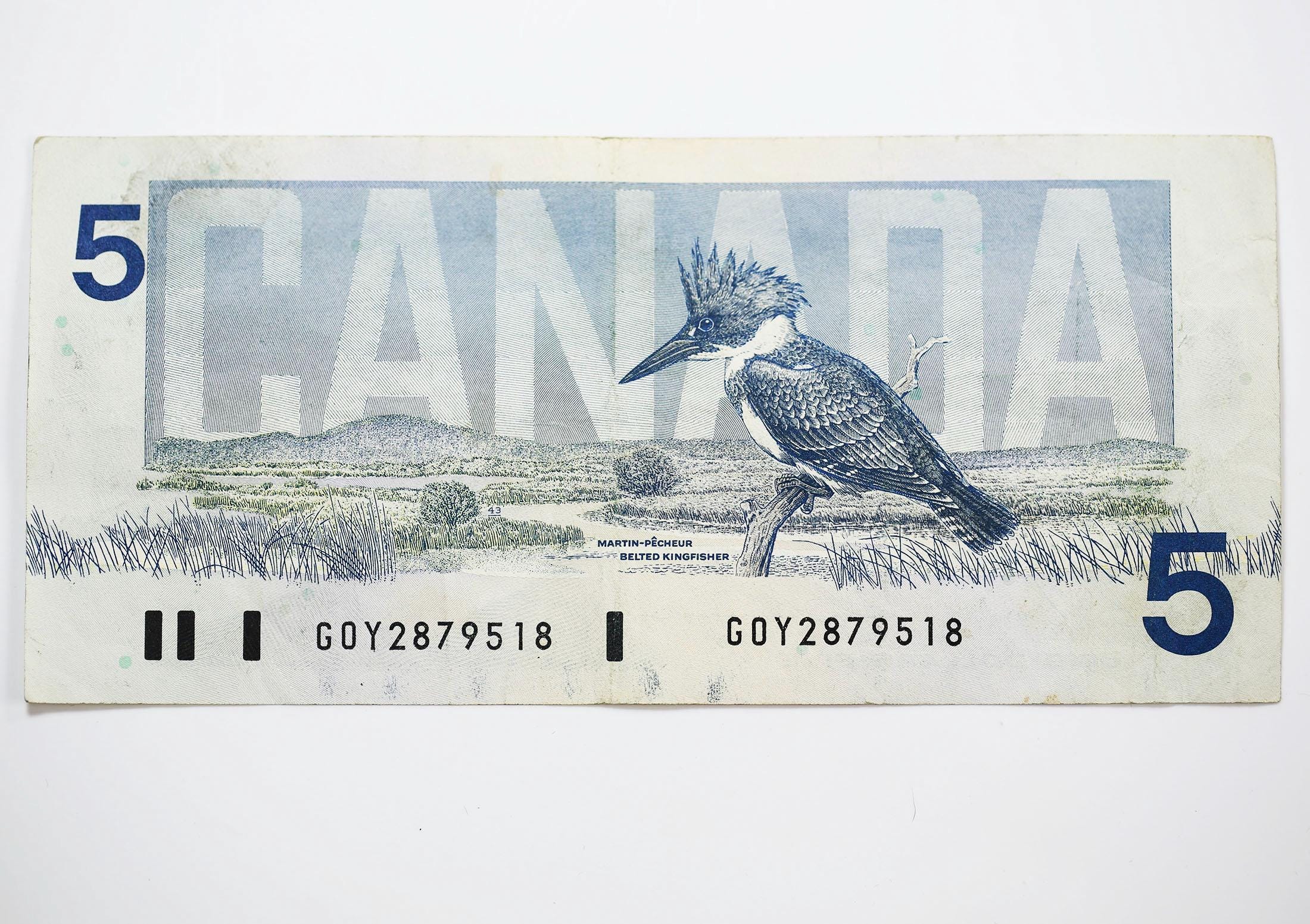 1986年カナダ5ドル紙幣：カナダの鳥の紙幣 - Etsy 日本