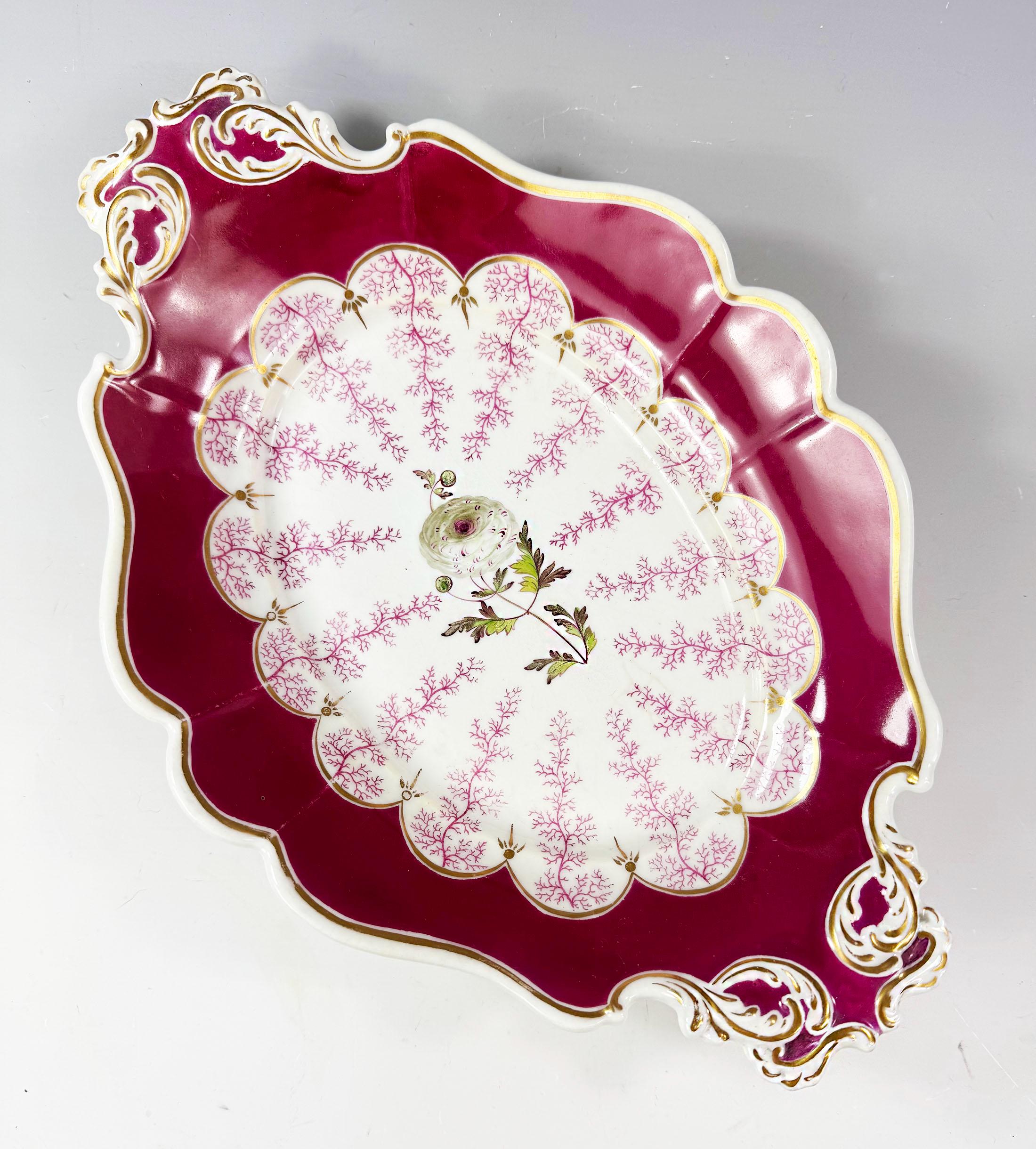 Davenport porcelain - Etsy 日本