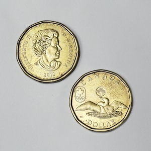 Canada 1 dollar coin - Etsy 日本