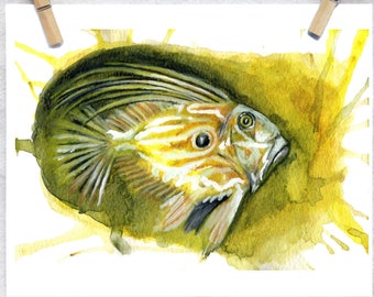 Ocean Fish Art Print / John Dory fish Art / Ocean animal décor / Dorm art / Unique Fish Art / Gothic art print / Fish illustration