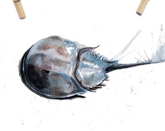 Horseshoe Crab Art Print / Acuarela / Horseshoe Crab Art / Horseshoe crab Print / Ocean Art / Ocean Sealife Print / Ocean nursery prints /