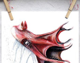 Squid Art Print | Octopus Print | Nautical Decor |Beach House Decor | Vampire Squid | Navy Blue Wall Art