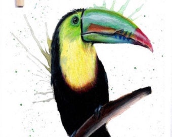 Colorful Toucan Art Print | Jungle Bird Illustration