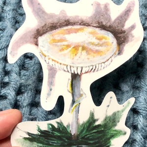 Destruyendo la pegatina de hongos ángeles / Pegatina de hongos venenosos / Impresión de arte de hongos / Pegatina de hongos / Pegatina de arte de la naturaleza / Decoración boho