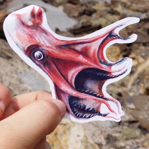 Sticker calamar vampire de l'enfer pour bouteilles d'eau, ordinateurs portables et autres objets.