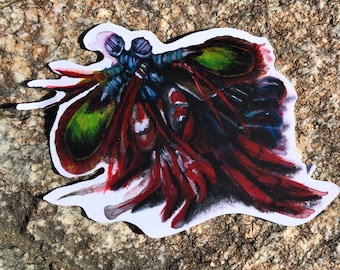 Peacock Mantis Shrimp Sticker | Mantis shrimp Art | Ocean lover art sticker | Laptop sticker | science sticker | animal lover | ink art