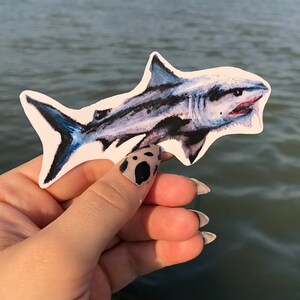 Gran pegatina de tiburón blanco / etiqueta de botella de agua de tiburón / pegatina de vinilo / pegatina de ordenador portátil / pegatina de moda / pegatina de hydroflask animal