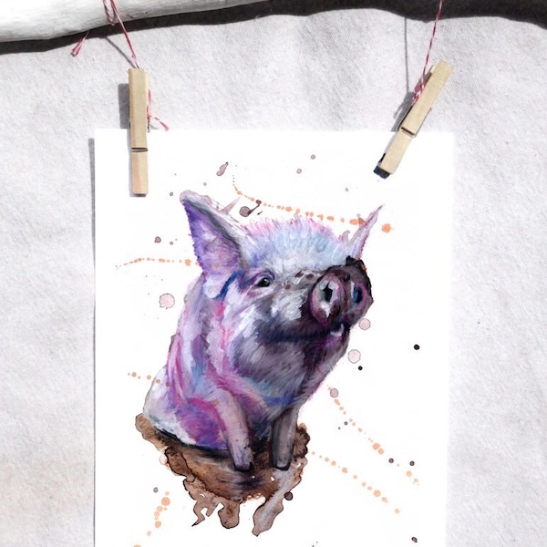 Yorkshire Pig Colors From Pale Pink To Deep Rose - q5grif8